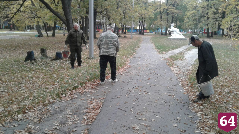 Саратовские студенты собирают желуди на Кумысной поляне