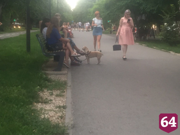 Саратовцы отдыхают в скверах и ходят за покупками без масок