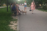Саратовцы отдыхают в скверах и ходят за покупками без масок