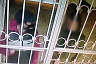 Грабитель пытался оплатить похищенной картой покупки и попался