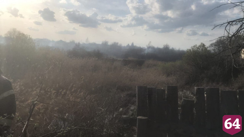 Под Саратовом от полыхающего камыша сгорели 8 строений