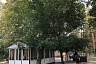 Саратовскую турбазу с одним домом оценили в 10 миллионов