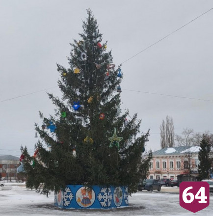 Главная елка саратовского города 32 года росла во дворе жителей