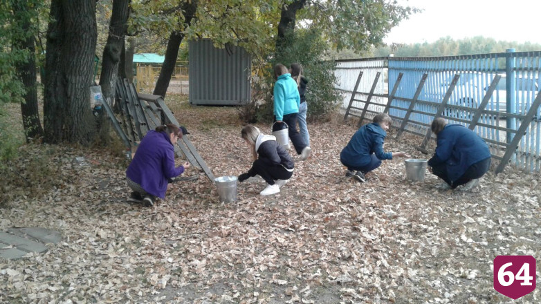 Саратовские студенты собирают желуди на Кумысной поляне
