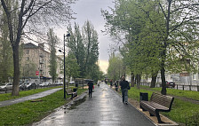 В Саратове закрыли парки из-за сильного ветра и дождя