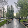 В Саратове закрыли парки из-за сильного ветра и дождя