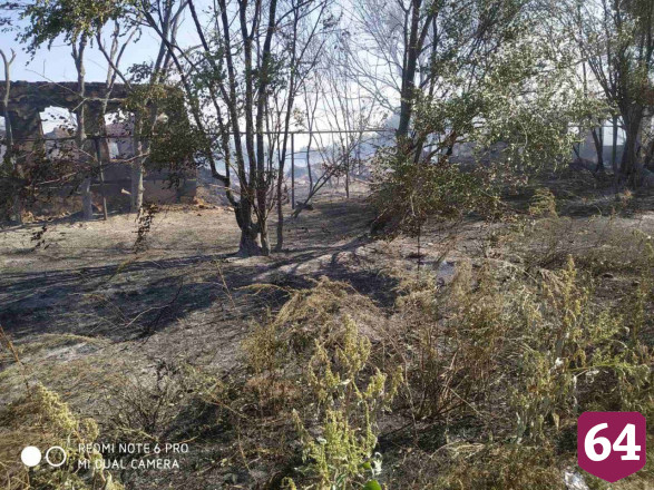 Под Саратовом сгорели 4 гектара травы и два дома