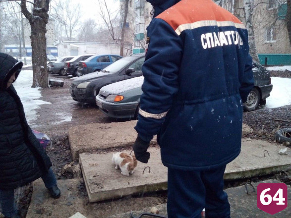 Спасатели достали из колодца котенка