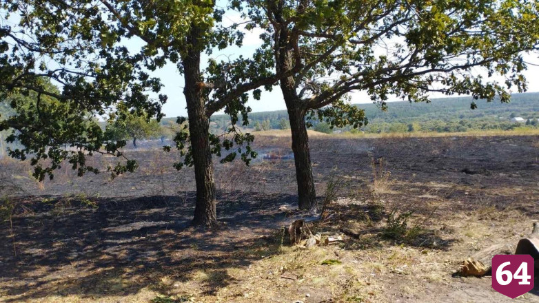 В Саратове огонь от травы перекинулся на лес