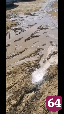 В Энгельсе нашли «море» из фекалий