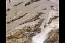 В Энгельсе нашли «море» из фекалий