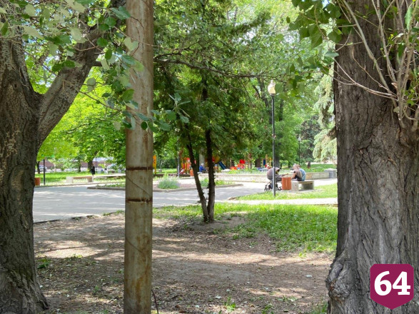 В Саратове владельцы собак игнорируют запрет на посещение парков 