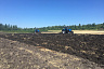 Под Саратовом лесные культуры удобряют овсом и ячменем
