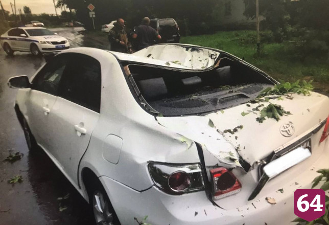 Поваленное ветром дерево придавило пассажирку иномарки под Саратовом