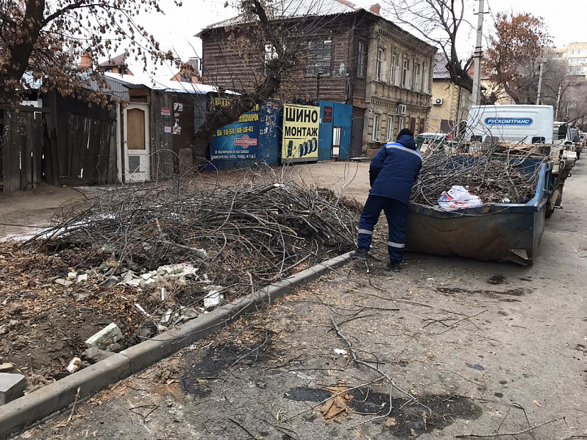 Из Саратова вывезли 4266 кубометров растительных отходов