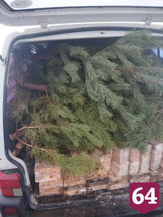 В Казахстан из Саратовской области не выпустили автомобиль с новогодними елями