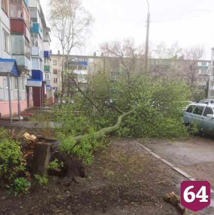 Под Саратовом ураганный ветер сломал дерево и опрокинул остановку
