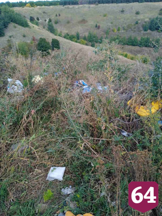 Саратовцы получили штраф и убрали мусор на Кумысной поляне