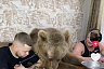 В Саратове медведь играет в «поп-ит» и принимает ванны с лепестками