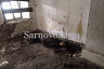 Житель Саратова нашел труп белгородца в заброшенном доме
