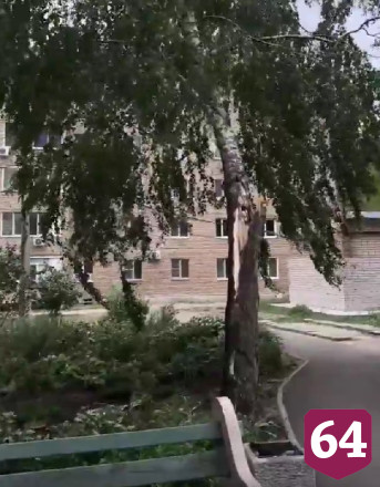 Саратовцы снимали падающие от сильного ветра деревья