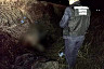 В овраге под Саратовом нашли скелет человека