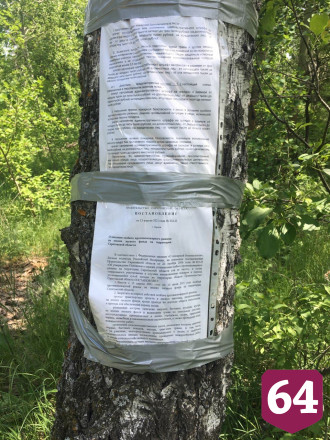 Саратовские лесничие потушили пришедший с федеральной трассы пожар
