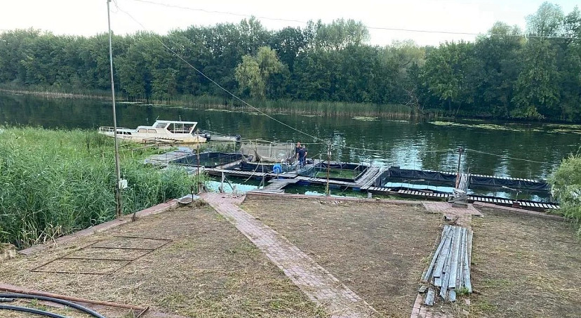 На Волге в Саратове погиб водитель катера