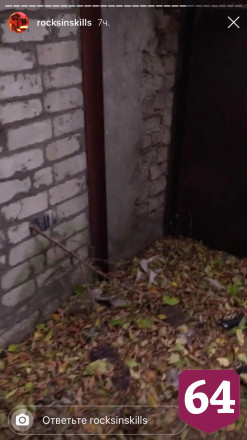 В сети появилось видео жуткой дороги Лизы Киселевой в школу