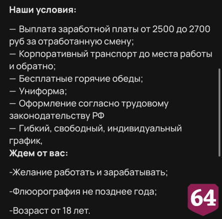 В Саратове оценщику сосисок готовы платить 2,5 тысячи рублей за смену