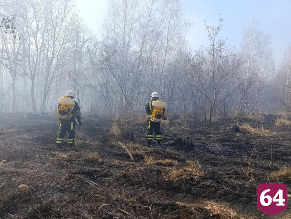 У села Лох стабилизировали лесопожарную обстановку 
