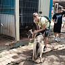 В саратовском приюте собаки «лопаются от счастья» при визитах детей