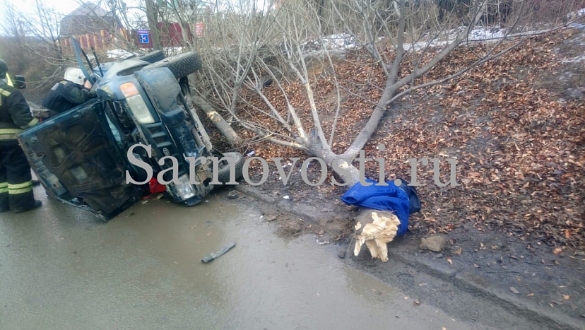 В Саратове водитель сбил дерево и опрокинулся на иномарке