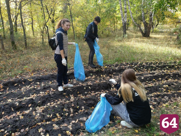 Саратовцы похвастались губернатору грибами на Кумысной поляне