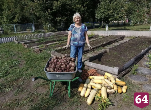 Саратовские женщины засушат сезонные овощи для бойцов СВО