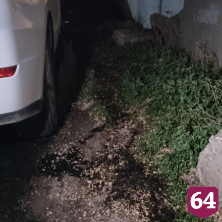 Неизвестные сожгли автомобиль саратовской зоозащитницы