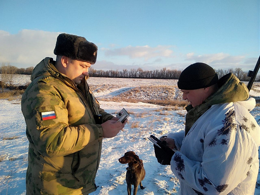 В Саратовской области завершился сезон охоты на оленя, косулю и лося