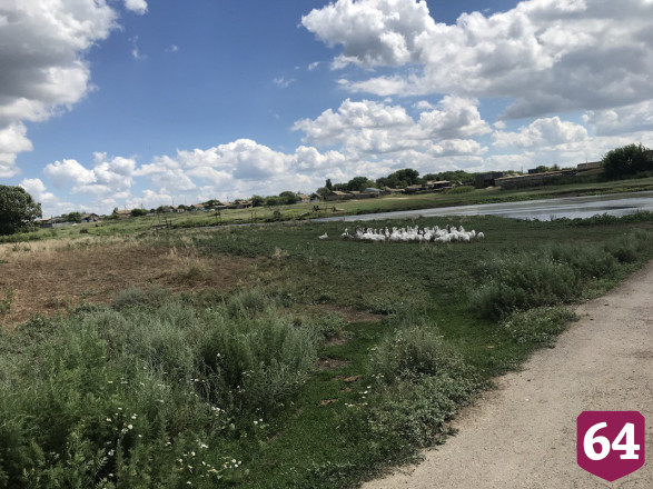 Экскаваторы тонули в иле при расчистке водохранилища под Саратовом 