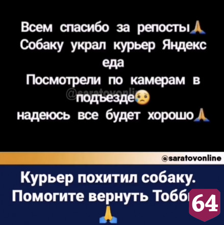 В Саратове доставщик еды похитил собаку 