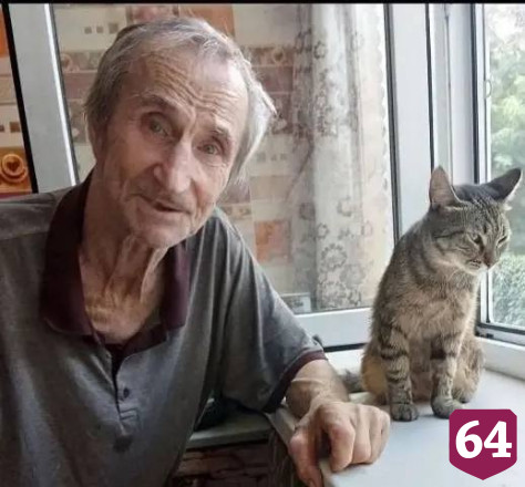 Пожилых саратовцев от депрессии и одиночества спасают кошки 