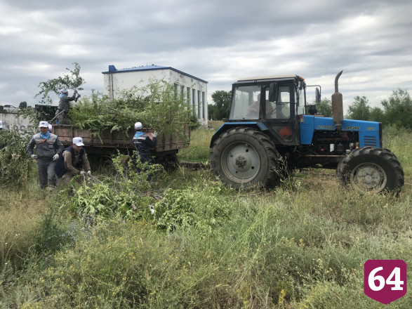 Министр для повышения эффективности переобулся и ушел в камыши