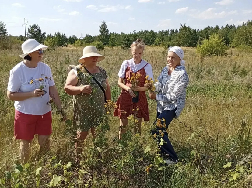 Саратовские волонтеры всё лето собирали травы на целебный чай для бойцов
