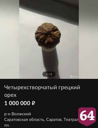 Житель Саратова продает за миллион рублей орех с «особой энергетикой»