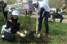 Саратовцы просят чиновников сберечь «Сад памяти» 