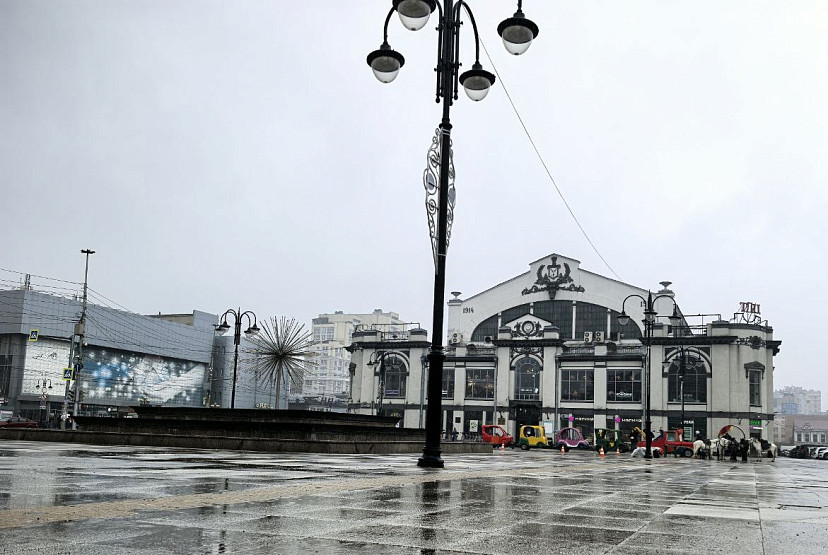 Саратовскую область ждут дожди и грозы 