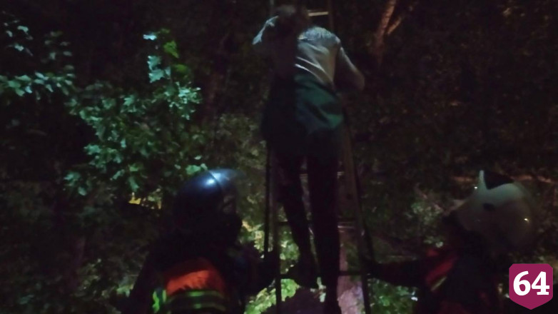 В Саратове спасатели снимали с дерева подростка