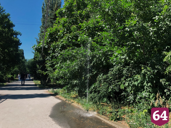 Жители Саратова пожаловались на бешеный опрыскиватель