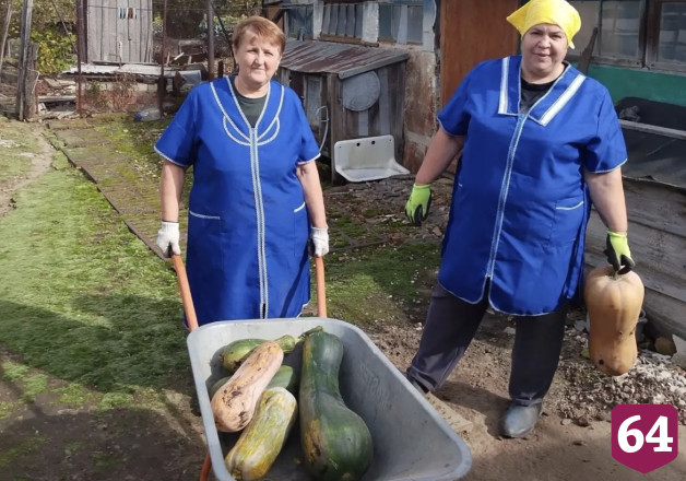 Саратовским пенсионерам помогли собрать урожай тыквы
