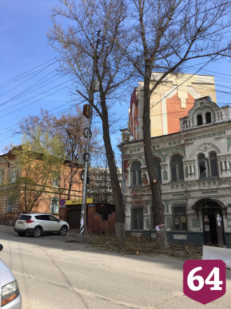 В Саратове на смену спиленным высадят 1000 деревьев 