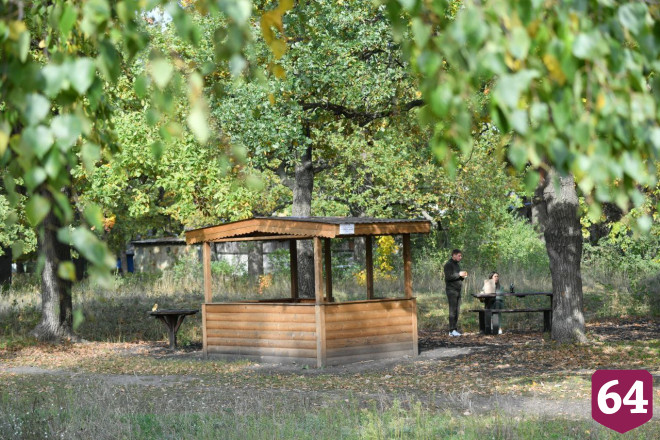 В Саратовской области тюльпанную степь объявят памятником природы  